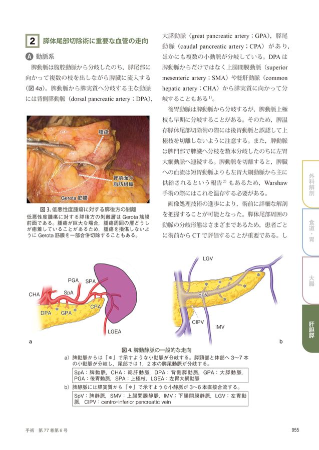 人気 走って登校中に転倒 水筒が直撃し内臓損傷 膵臓の半分と脾臓を摘